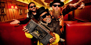 Skindred