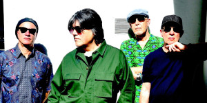 The Blow Monkeys